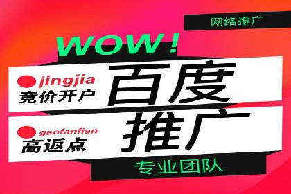 百度推广在行业中的成功应用